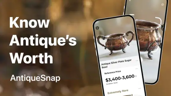 AntiqSnap: Antique Identifier screenshot