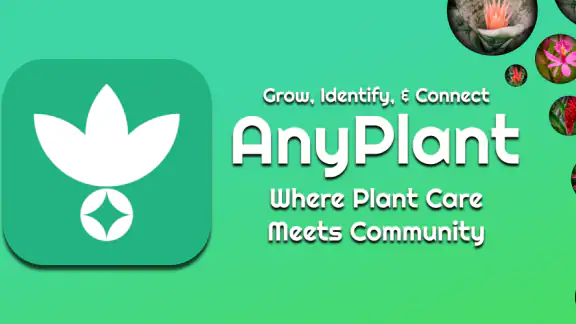 AnyPlant: AI Plant Identifier screenshot