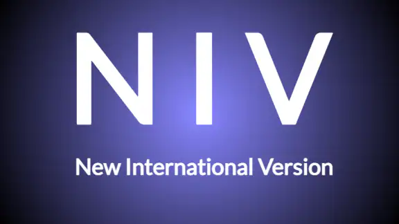 Bible NIV - Audio Bible App screenshot