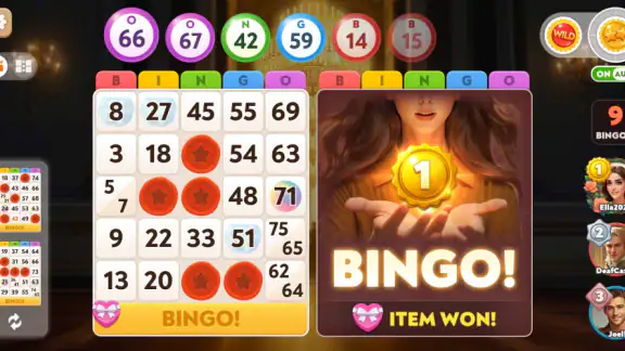 Bingo Diary screenshot