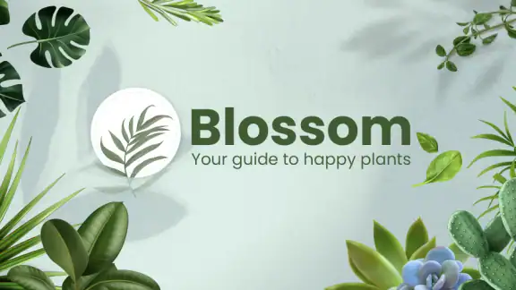 Blossom - Plant Identifier screenshot