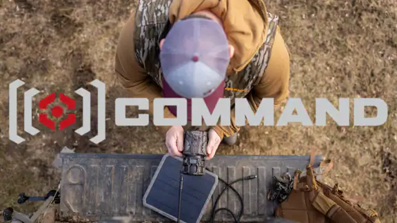 Command screenshot