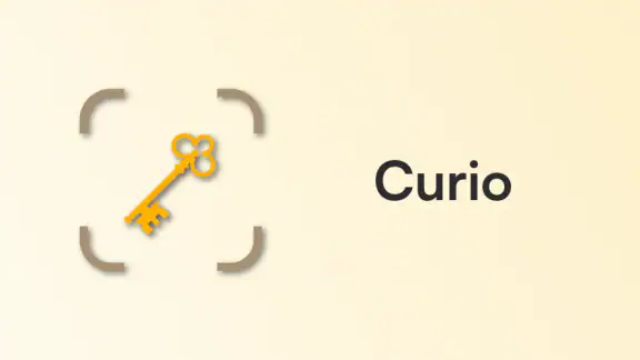 Curio - Antique Identifier screenshot