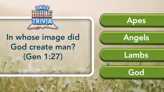 Daily Bible Trivia screenshot