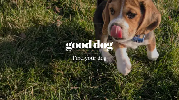Good Dog: Find Your Puppy screenshot