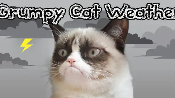 Grumpy Cat Weather screenshot