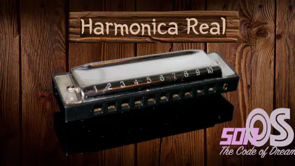 Harmonica Real screenshot