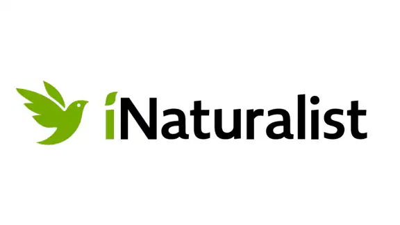 iNaturalist screenshot
