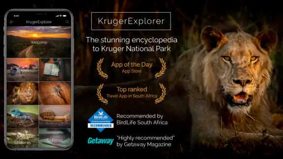 KrugerExplorer screenshot