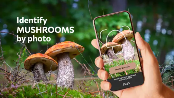 Mushroom Identification screenshot