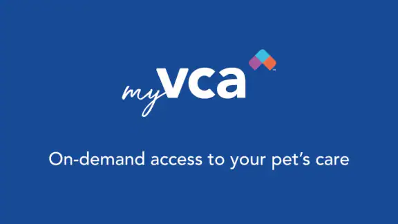 myVCA screenshot