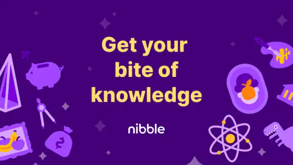Nibble: Your Bite of Knowledge screenshot