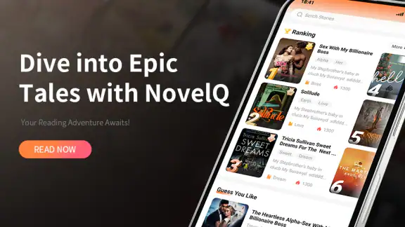 NovelQ screenshot
