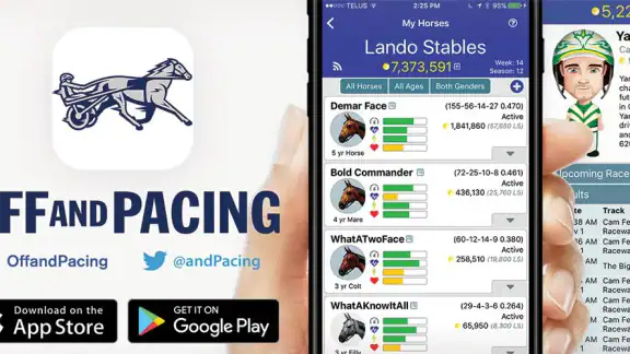 Off And Pacing: Horse Racing screenshot