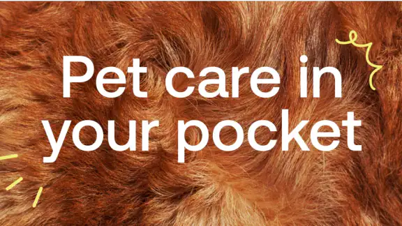 Pawp: 24/7 Vet & Pet Care screenshot