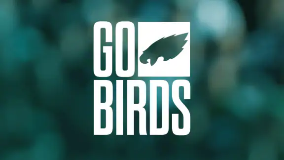 Philadelphia Eagles screenshot