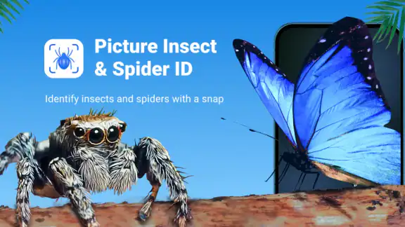 Picture Insect: Bug Identifier screenshot