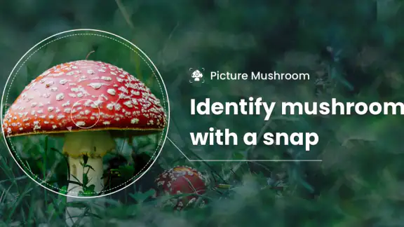 Picture Mushroom - Mushroom ID screenshot