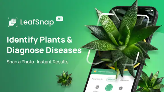 Plant Identifier: LeafSnap screenshot