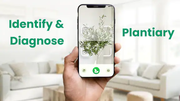 Plant Identifier: Plantiary screenshot