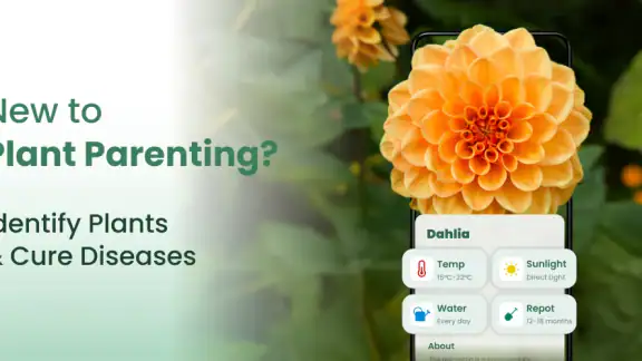 Plantify: AI Plant Identifier screenshot