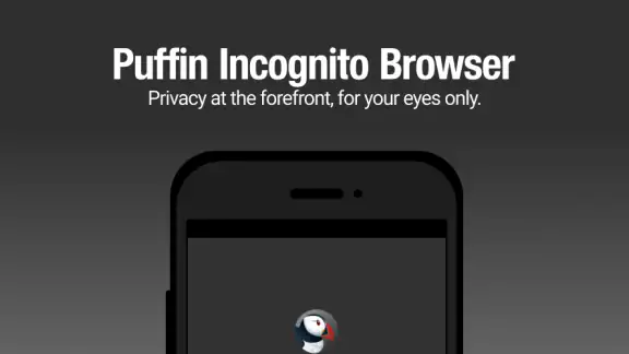 Puffin Incognito Browser screenshot