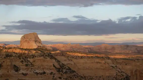 Road Trip Ryan Trip Guide screenshot