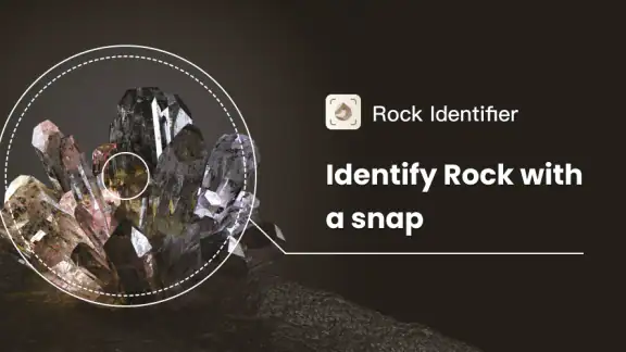 Rock Identifier: Stone ID screenshot