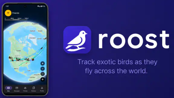Roost Social screenshot