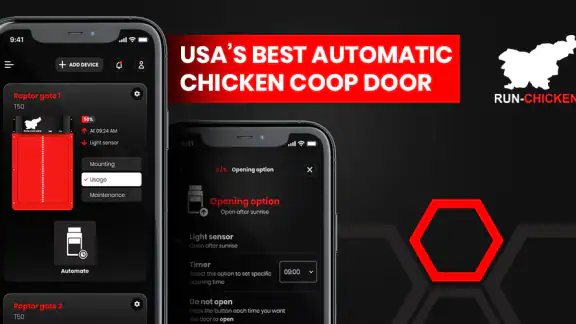RUN-CHICKEN screenshot