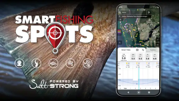 Salt Strong Smart Spots screenshot