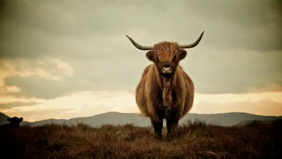 Scotland’s Best: Travel Guide screenshot