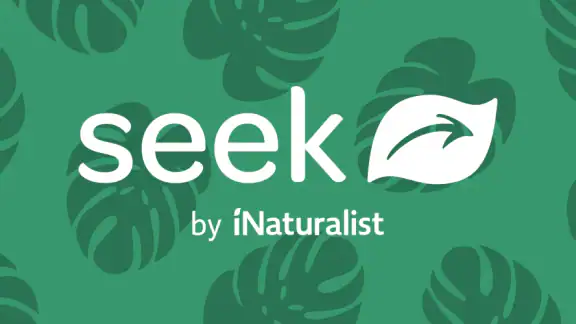 Seek by iNaturalist screenshot