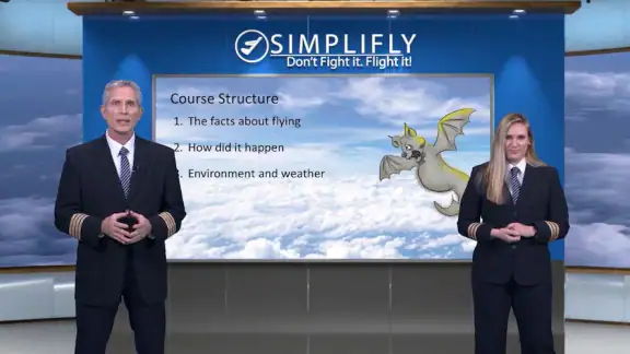 SimpliFly: Fly with Confidence screenshot