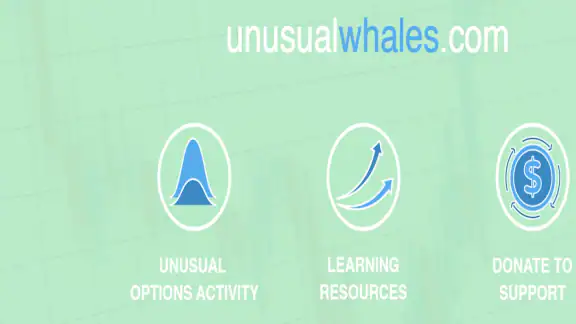 Unusual Whales screenshot