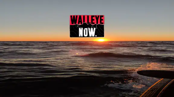 Walleye Now screenshot