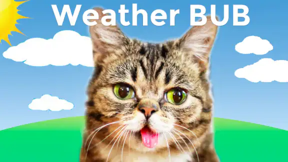 Weather BUB screenshot