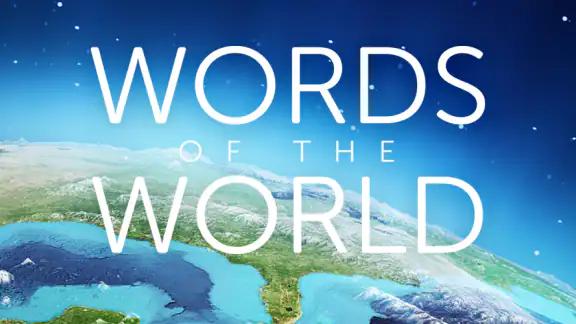 Words of the World screenshot