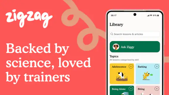 Zigzag - Dog & Puppy Training screenshot