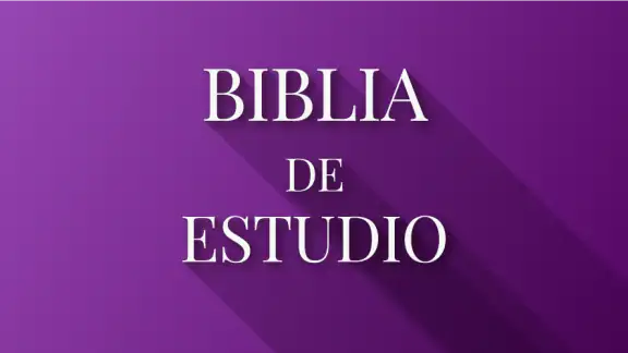 Biblia de Estudio Reina Valera screenshot
