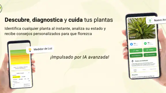 Broticola - Identifica plantas screenshot