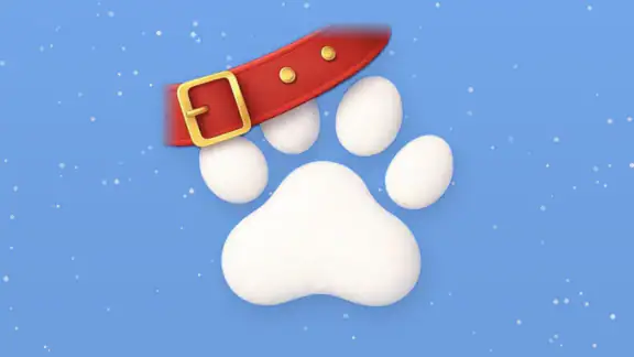 Cuidado de Mascotas - Sittsy screenshot