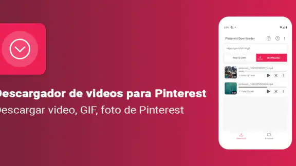Descargar vídeos de Pinterest screenshot