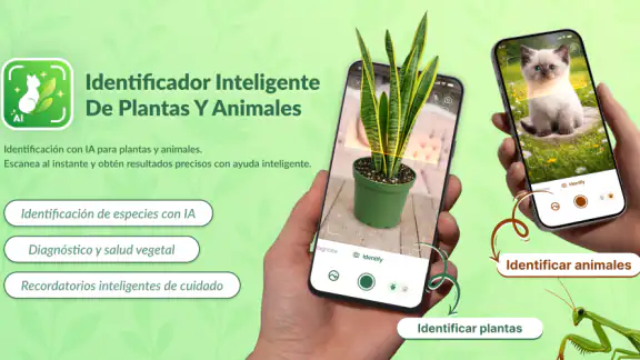 Escanea y Cuida Plantas IA screenshot
