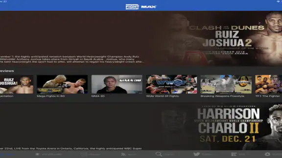 FIGHT SPORTS MAX screenshot
