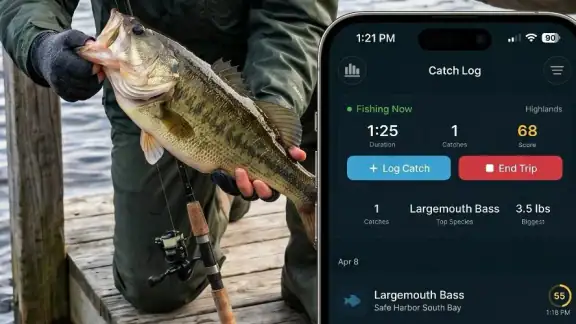 Fish & Tides: Índice de picada screenshot