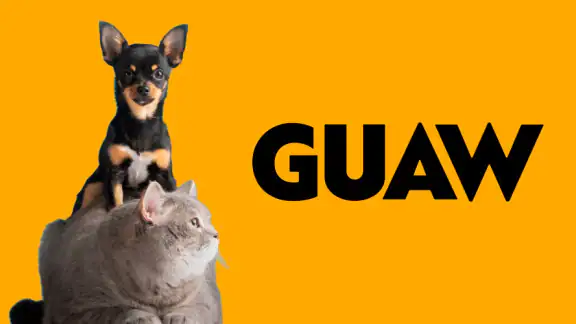 GUAW - DISFRUTA ANIMAL screenshot