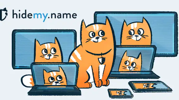 hidemy.name VPN screenshot