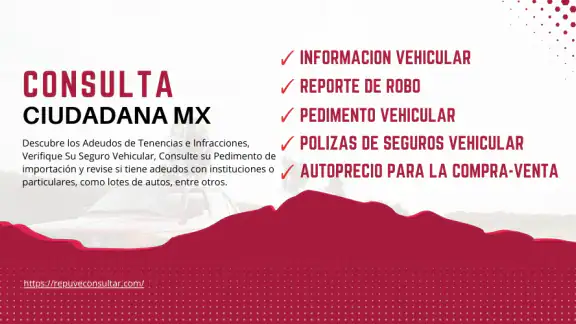 Historial Vehicular MX 2026 screenshot