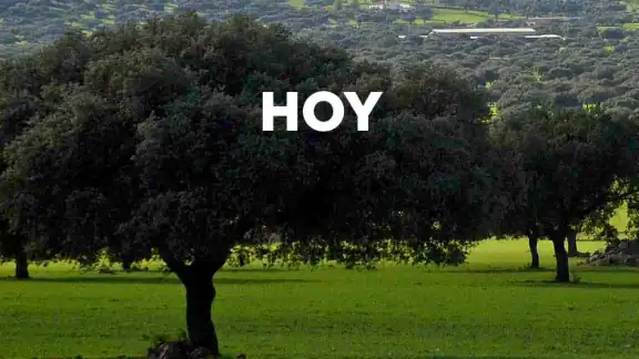 HOY screenshot